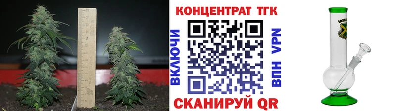 Купить где Далматово Дистиллят ТГК гашишное масло