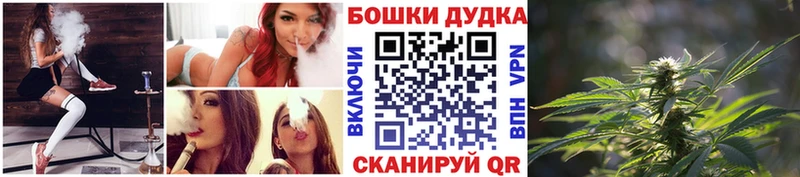 Купить  Далматово  Конопля сатива 